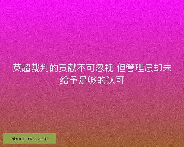 英超裁判的贡献不可忽视 但管理层却未给予足够的认可